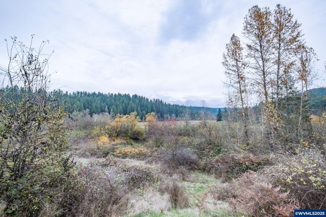 32981 Mount Pleasant Rd, Lebanon, OR 97355