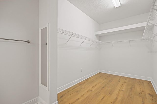 13928 NATURES RESERVE DRIVE, Lithia, FL 33547