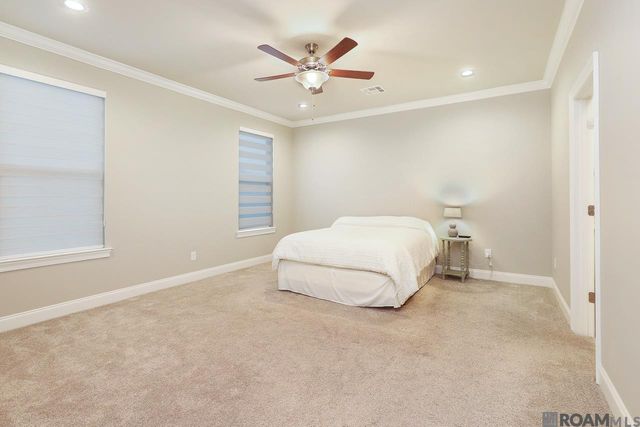 36310 Belle Reserve Ave, Geismar, LA 70734