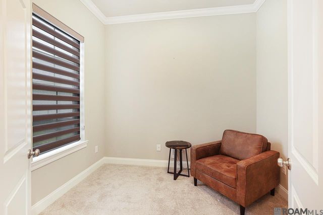 36310 Belle Reserve Ave, Geismar, LA 70734