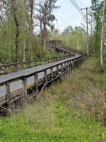 20996 Diversion Canal Rd, Maurepas, LA 70449