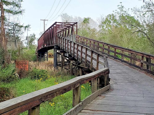 20996 Diversion Canal Rd, Maurepas, LA 70449