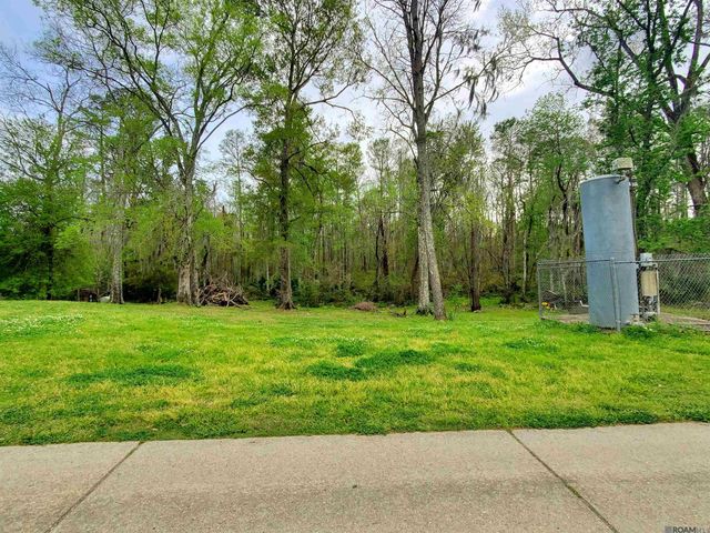 20996 Diversion Canal Rd, Maurepas, LA 70449