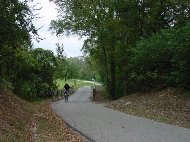 1422 Chardonnay Drive, Houston, TX 77077