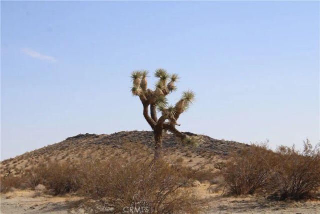 20 Skyranch, Adelanto, CA 92301