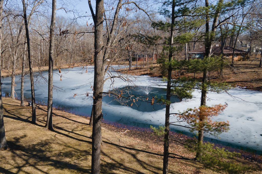 Image 5 of property listing at 14700 N Allen Lane, Mt Vernon, IL 62864