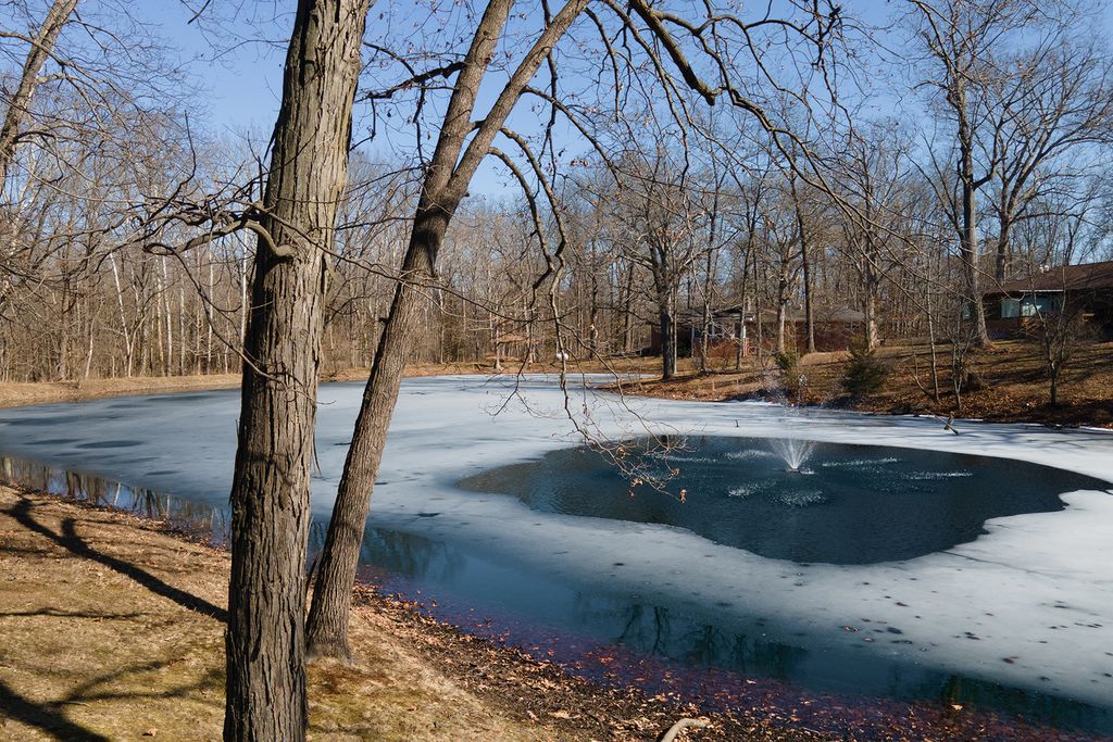 Image 61 of property listing at 14700 N Allen Lane, Mt Vernon, IL 62864