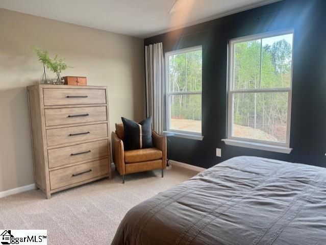 9 Broad River Way, Greenville, SC 29607