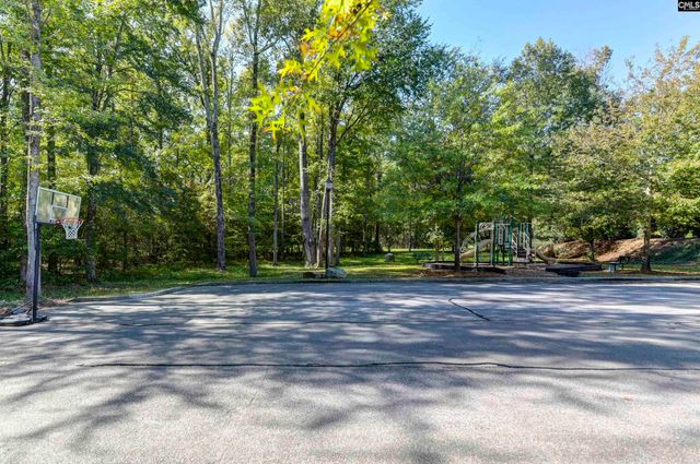 426 Crawley Lane, Chapin, SC 29036