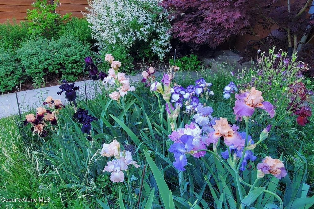 865 E Pine Ridge Dr, Harrison, ID 83833 photo 70