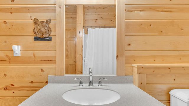 661 Toccoa River Forest, Mineral Bluff, GA 30559