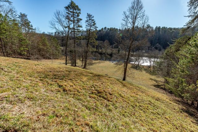 661 Toccoa River Forest, Mineral Bluff, GA 30559