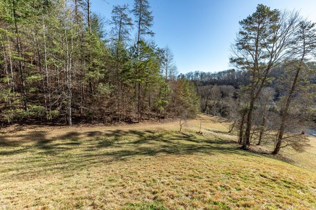 661 Toccoa River Forest, Mineral Bluff, GA 30559