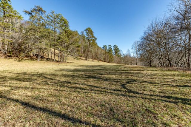 661 Toccoa River Forest, Mineral Bluff, GA 30559