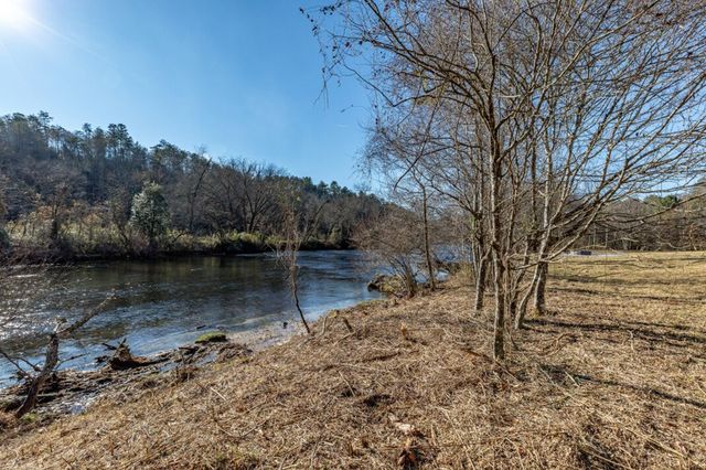 661 Toccoa River Forest, Mineral Bluff, GA 30559