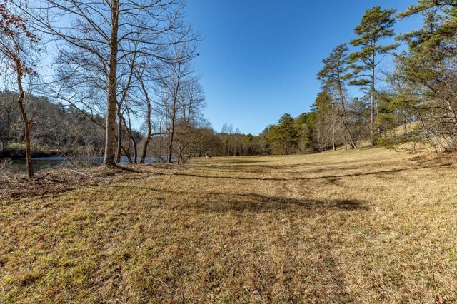 661 Toccoa River Forest, Mineral Bluff, GA 30559