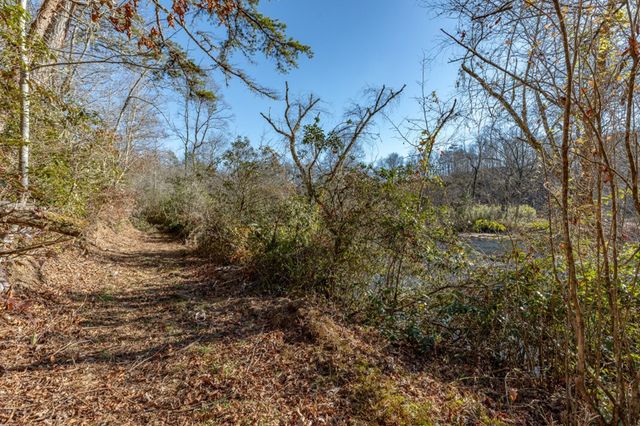 661 Toccoa River Forest, Mineral Bluff, GA 30559