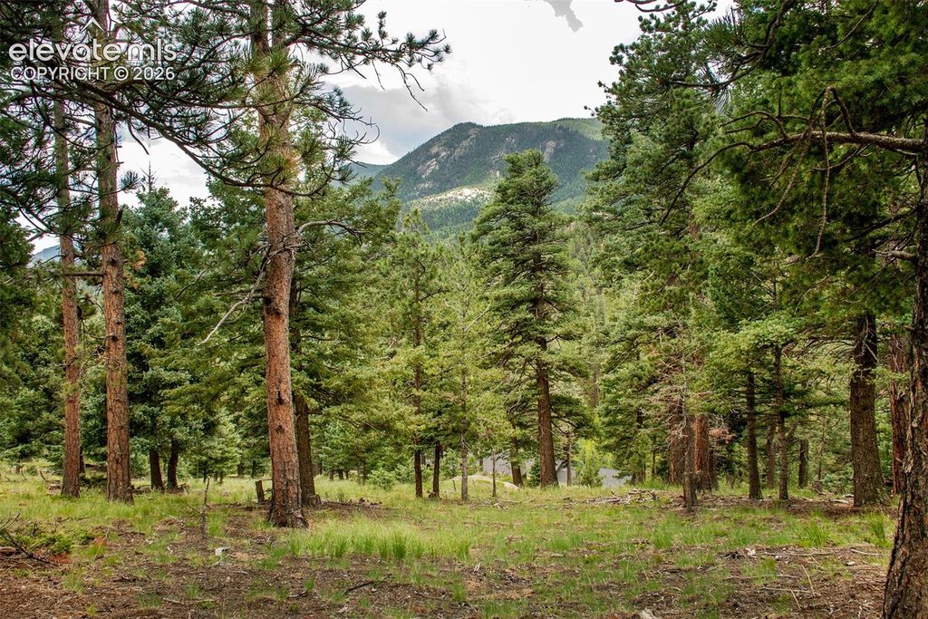 266 Aspen Ridge Road, Manitou Springs, CO 80829 — photo 2