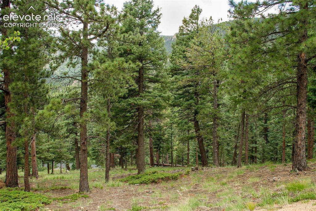 266 Aspen Ridge Road, Manitou Springs, CO 80829 — photo 3