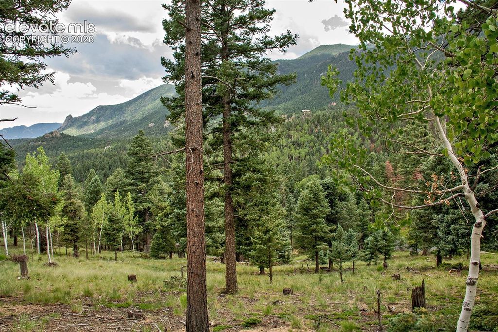 266 Aspen Ridge Road, Manitou Springs, CO 80829 — photo 5
