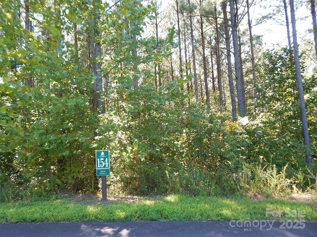 335 Table Rock Trace NW 154, Valdese, NC 28690