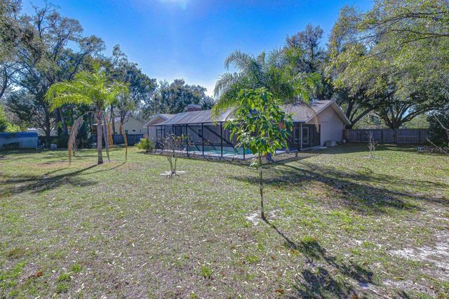 610 CHANCELLAR DRIVE, Lutz, FL 33548