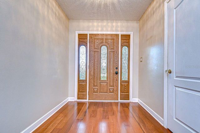 610 CHANCELLAR DRIVE, Lutz, FL 33548