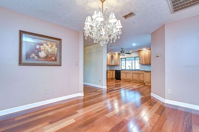 610 CHANCELLAR DRIVE, Lutz, FL 33548