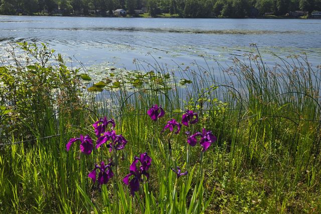 11159 W Perch Lake Drive W, Cement City, MI 49233