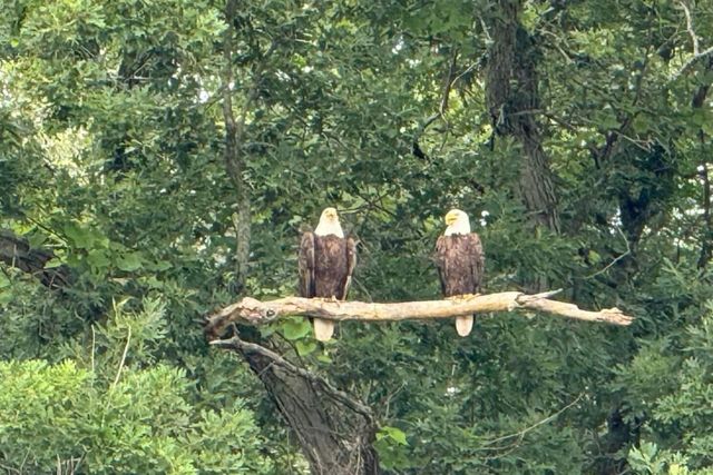 11159 W Perch Lake Drive W, Cement City, MI 49233