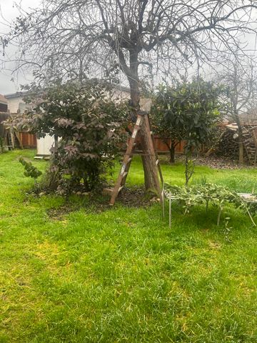 248 Exie Lane, Dinuba, CA 93618