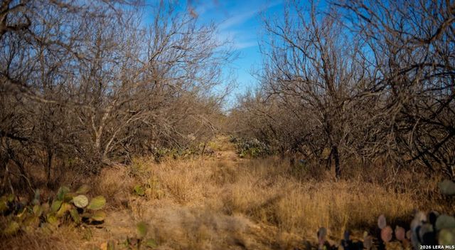 1799 Shumaca Road, Carrizo Springs, TX 78834