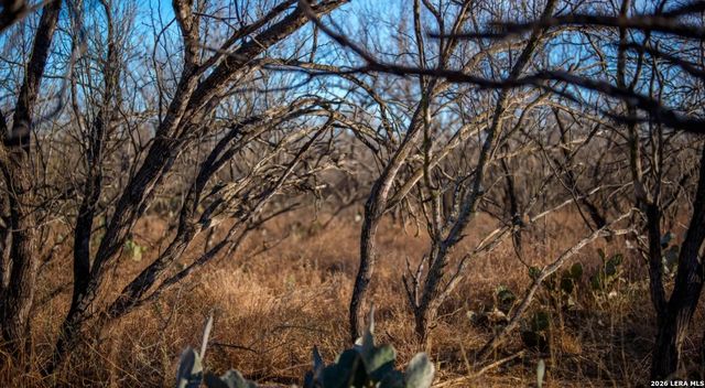 1799 Shumaca Road, Carrizo Springs, TX 78834