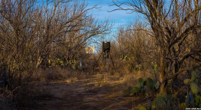 1799 Shumaca Road, Carrizo Springs, TX 78834