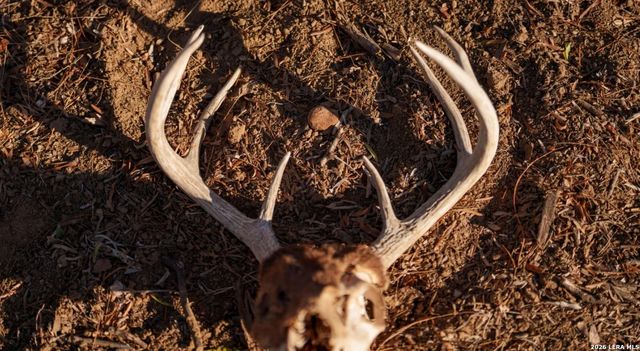 1799 Shumaca Road, Carrizo Springs, TX 78834