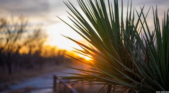 1799 Shumaca Road, Carrizo Springs, TX 78834