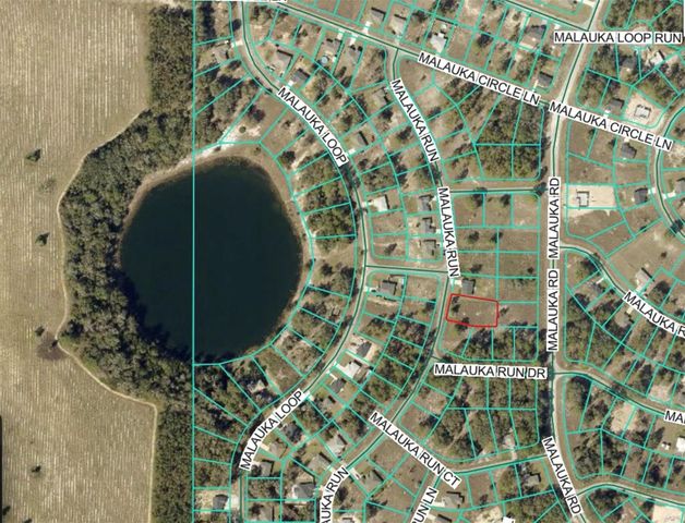 LOT 5 SE MALAUKA RUN, Ocklawaha, FL 32179