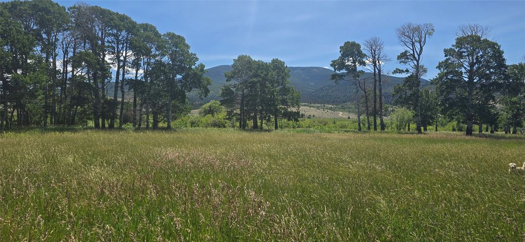 2A School House Meadows, Helmville, MT 59843 photo 12