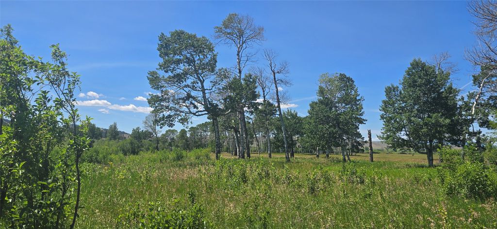 2A School House Meadows, Helmville, MT 59843 photo 14