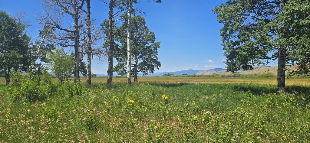 2A School House Meadows, Helmville, MT 59843 photo 15