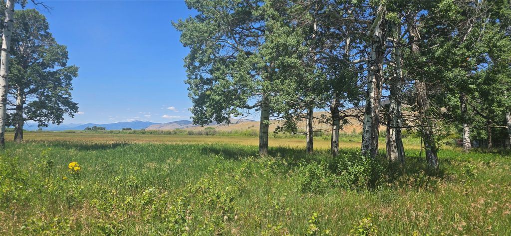 2A School House Meadows, Helmville, MT 59843 photo 16