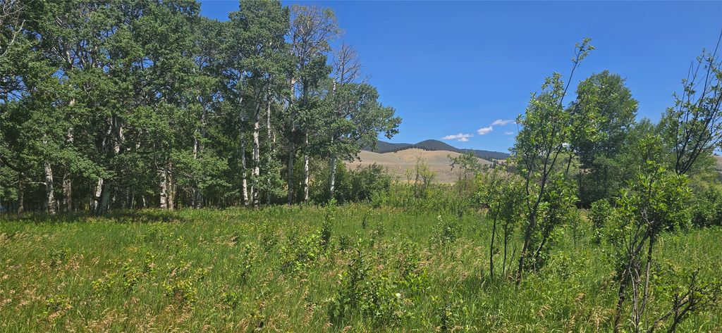 2A School House Meadows, Helmville, MT 59843 photo 17