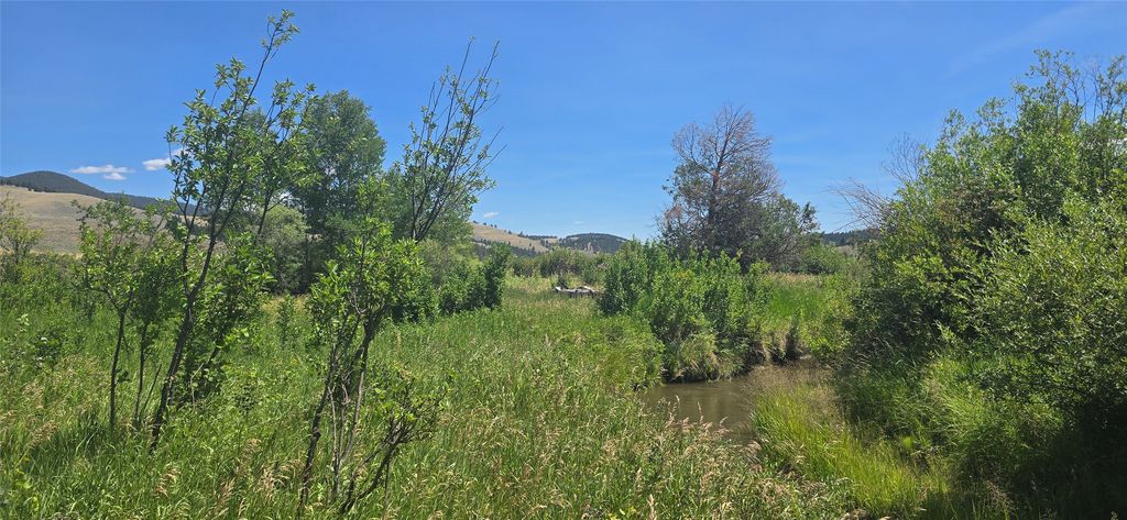 2A School House Meadows, Helmville, MT 59843 photo 18