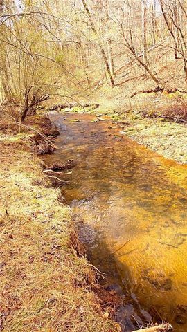 227 Fir Lane, Ellijay, GA 30540