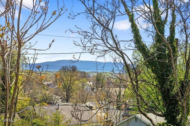 1068 Prospect Avenue, Bristol, VA 24201