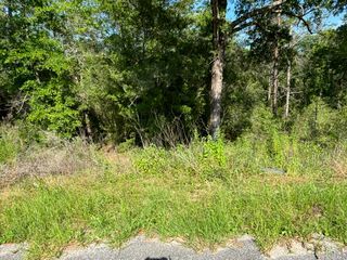 0 E White Rose Street, Defuniak Springs, FL 32433