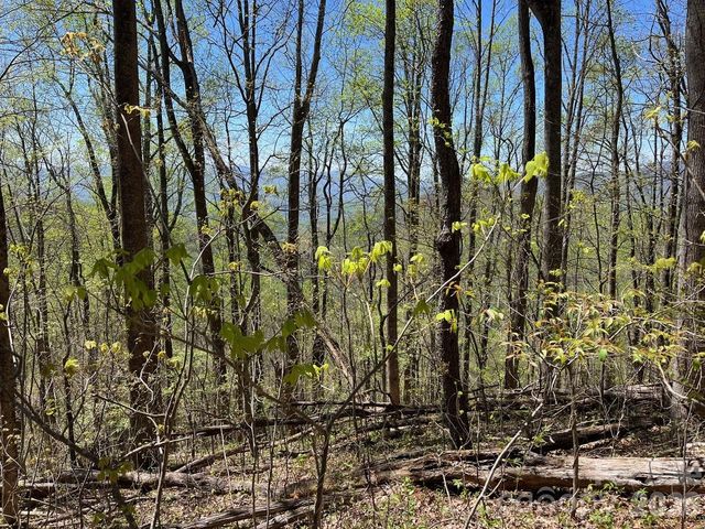 0 Crackin Chestnut Lane, Sylva, NC 28779