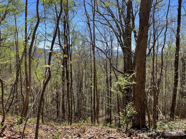0 Crackin Chestnut Lane, Sylva, NC 28779