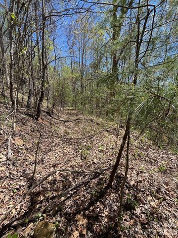 0 Crackin Chestnut Lane, Sylva, NC 28779