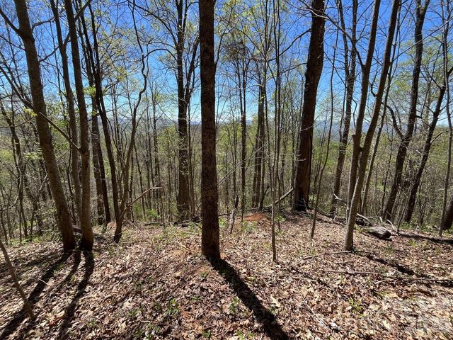 0 Crackin Chestnut Lane, Sylva, NC 28779
